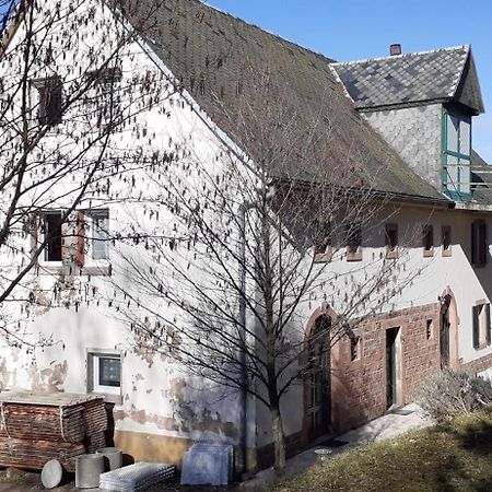 Nordiques De La Welche Villa Orbey Luaran gambar