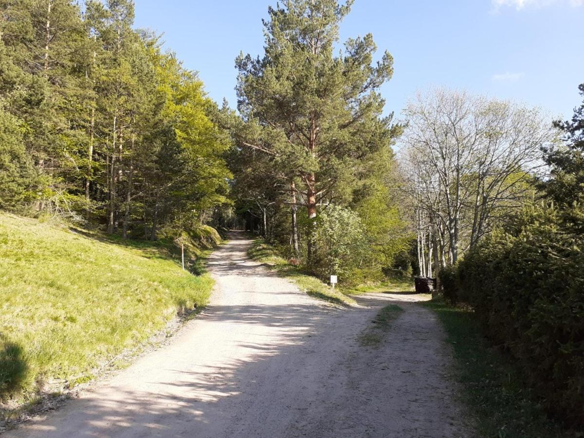 Nordiques De La Welche Villa Orbey Luaran gambar