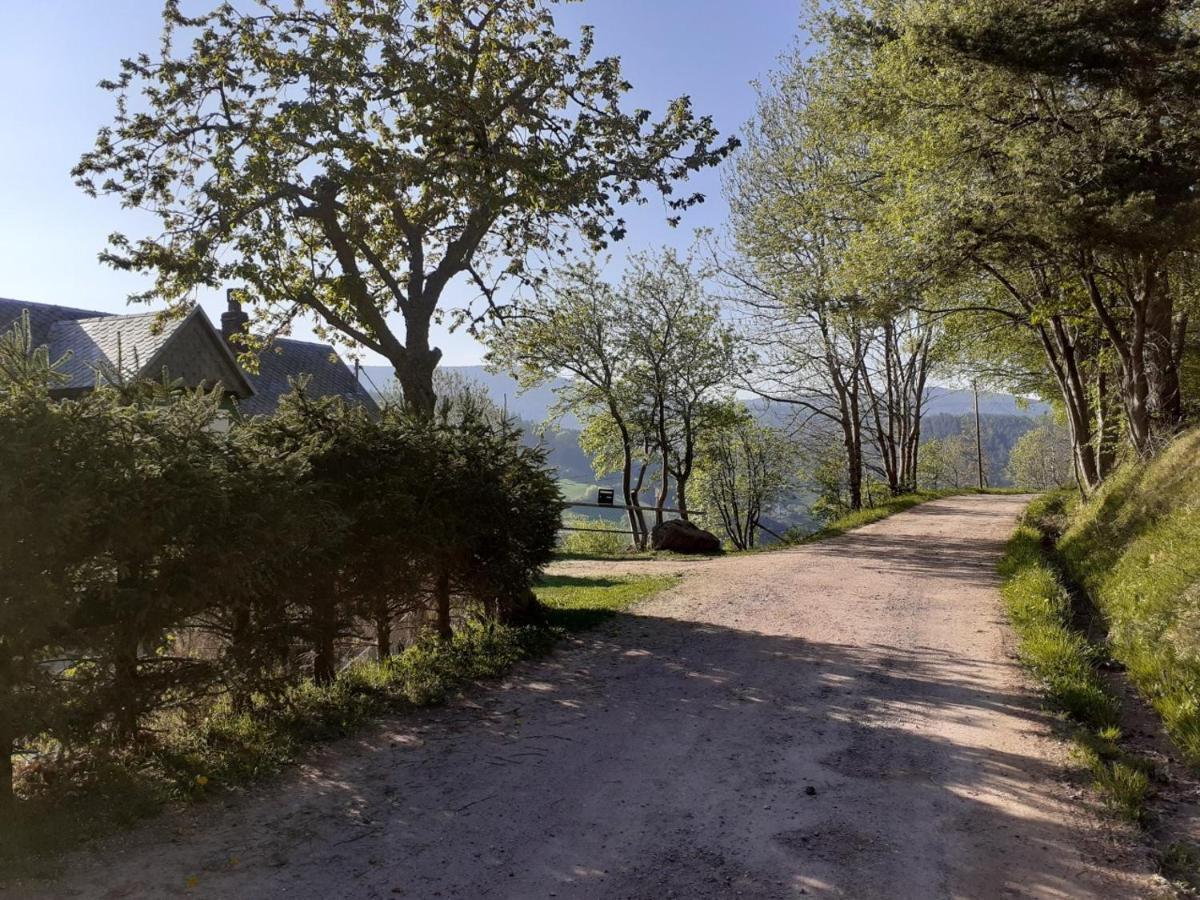 Nordiques De La Welche Villa Orbey Luaran gambar