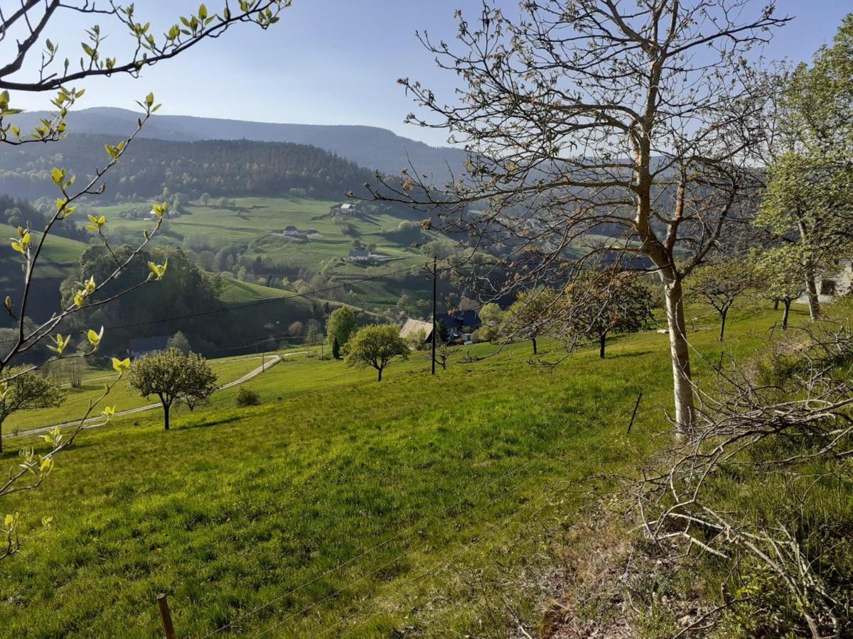 Nordiques De La Welche Villa Orbey Luaran gambar