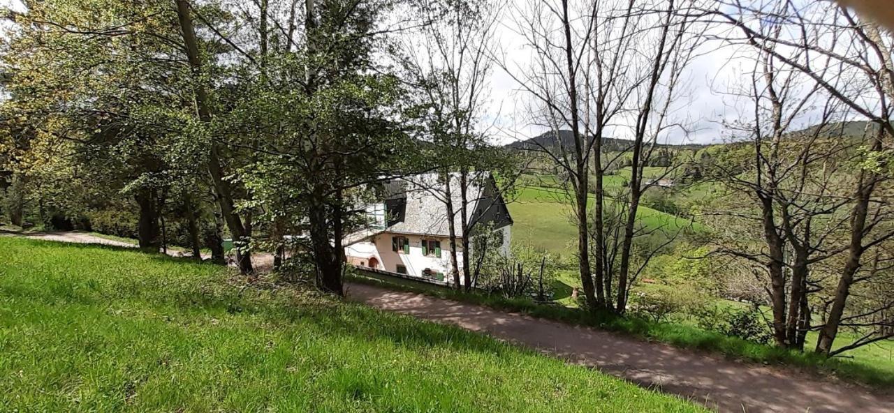 Nordiques De La Welche Villa Orbey Luaran gambar
