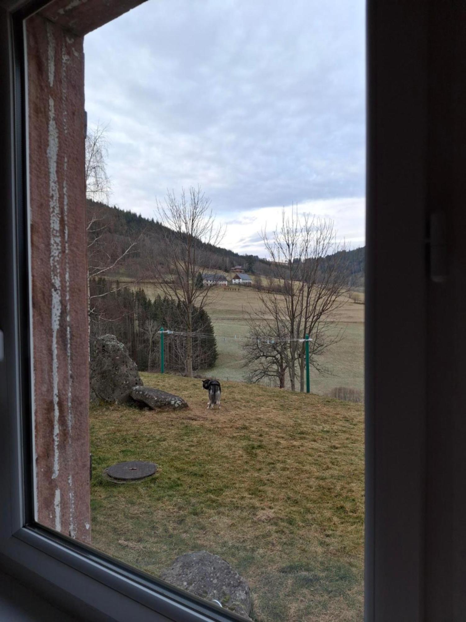 Nordiques De La Welche Villa Orbey Luaran gambar