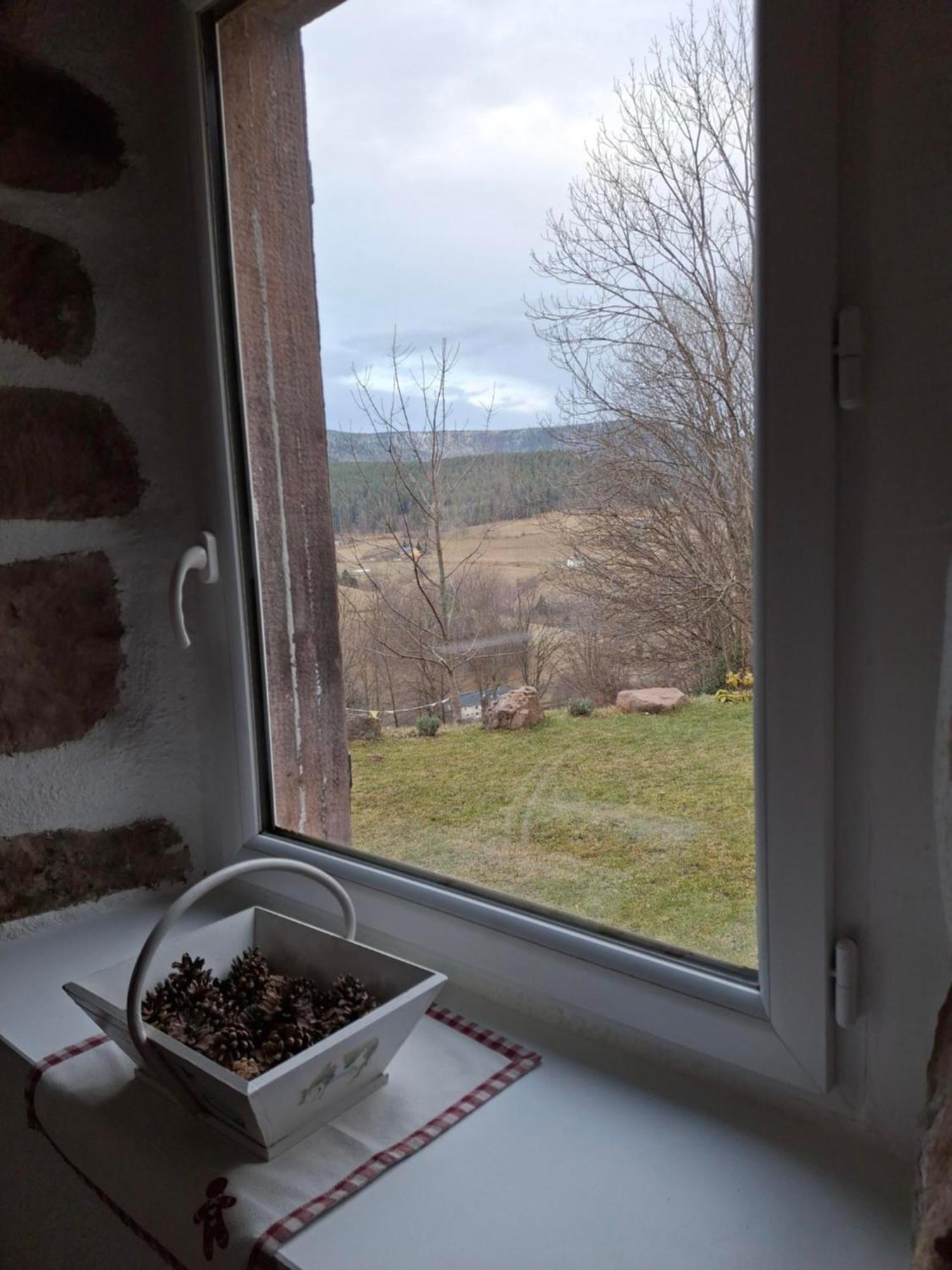 Nordiques De La Welche Villa Orbey Luaran gambar