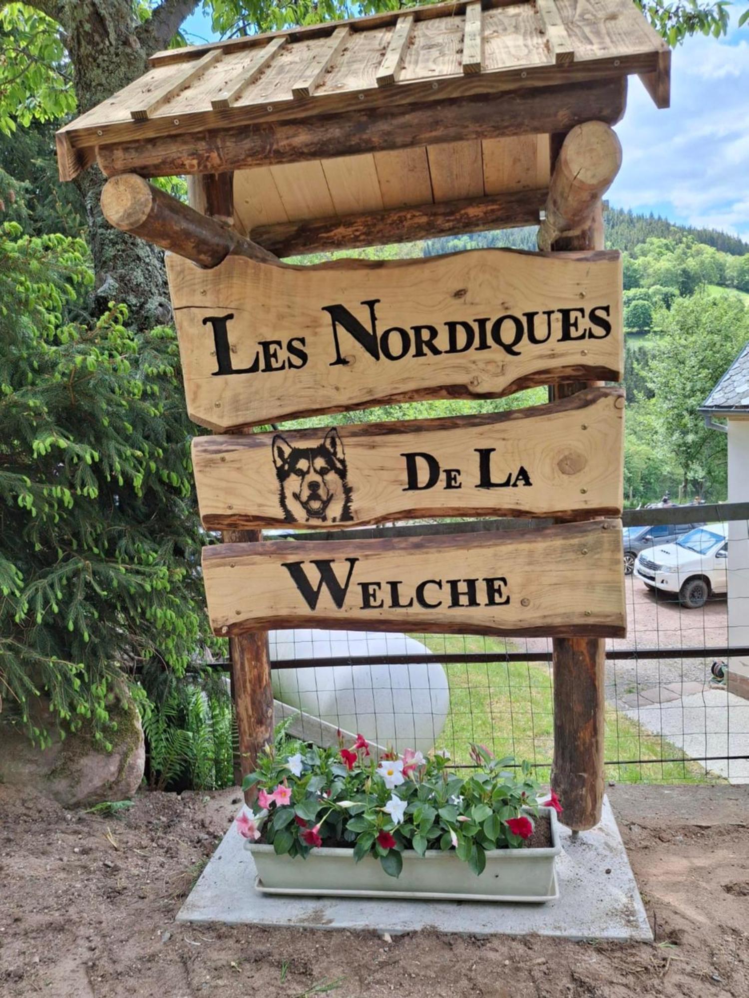 Nordiques De La Welche Villa Orbey Luaran gambar